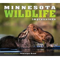 Minnesota Wildlife Impressions